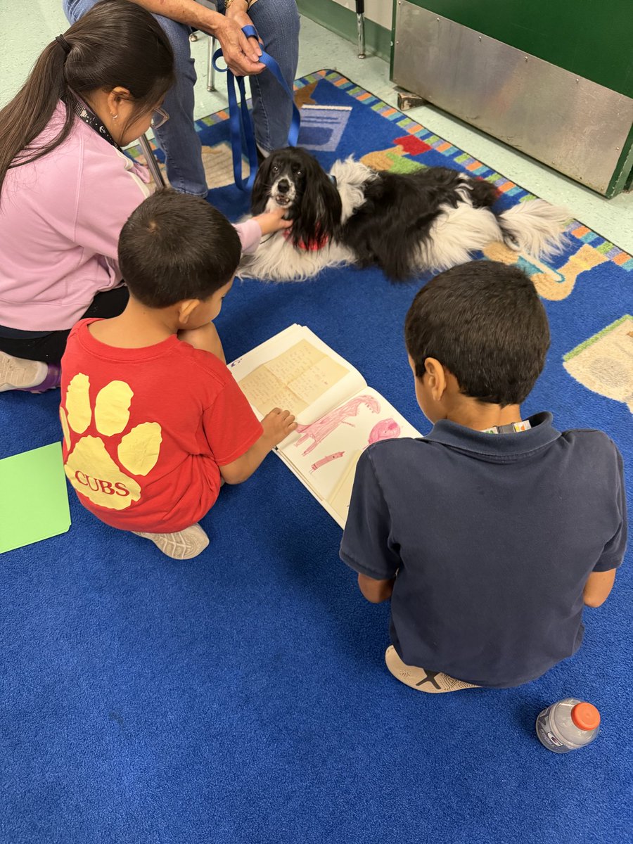 kimberly_serota's tweet image. Our @CooperCityElem students had the BEST day reading with Mochi 🐶📚💛
Thank you to Wags &amp;amp; Tales from the @HumaneBroward for bringing such joy and confidence to our readers. A good book and a furry friend by your side is magical! #animalassistedtherapy
#ReadingMatters