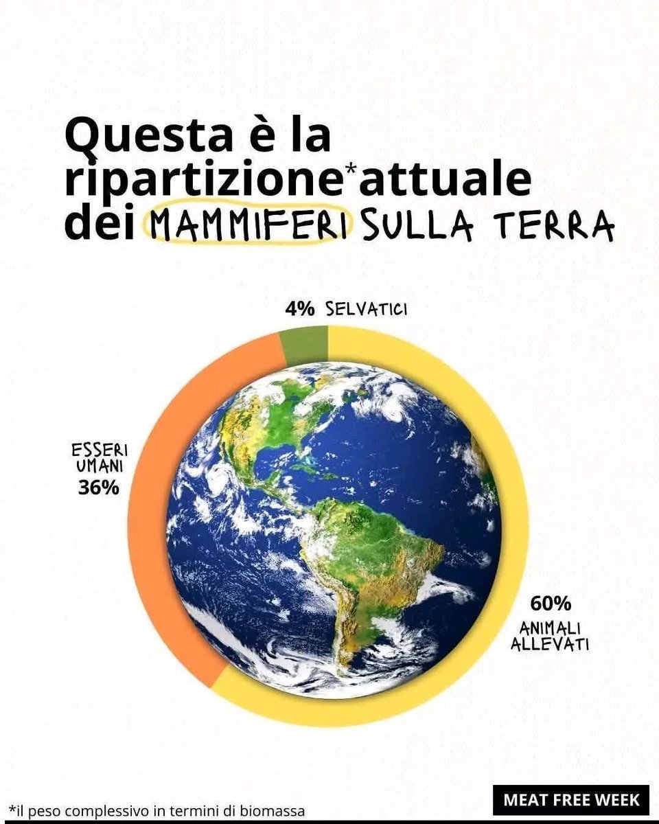 laura17557869's tweet image. “ TERRIFICANTE” 
“ Sii il cambiamento che vuoi vedere nel mondo “ 
#SAVETHEPLANET
