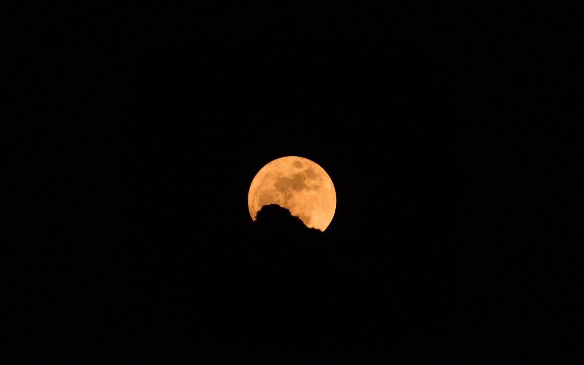 iammirauqib's tweet photo. Flower Moon 2026 https://t.co/tv4wp5enHO