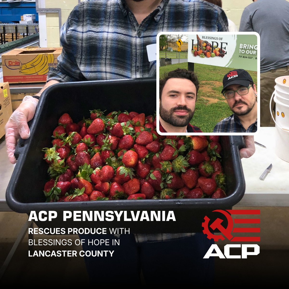 ACP_Penn's tweet image. ACP PA comrades returned to Lancaster County and volunteered with Blessings of Hope. We helped rescue hundreds of pounds of fresh produce to be donated to local ministries.

Serve the people with the American Communist Party. Join today!