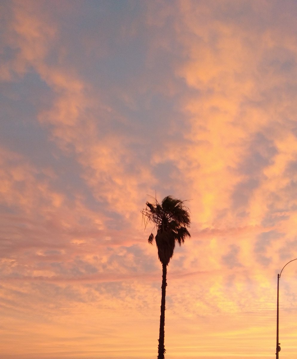 Lopezlaila1's tweet image. #Colorful sunset #Montevideo #Uruguay