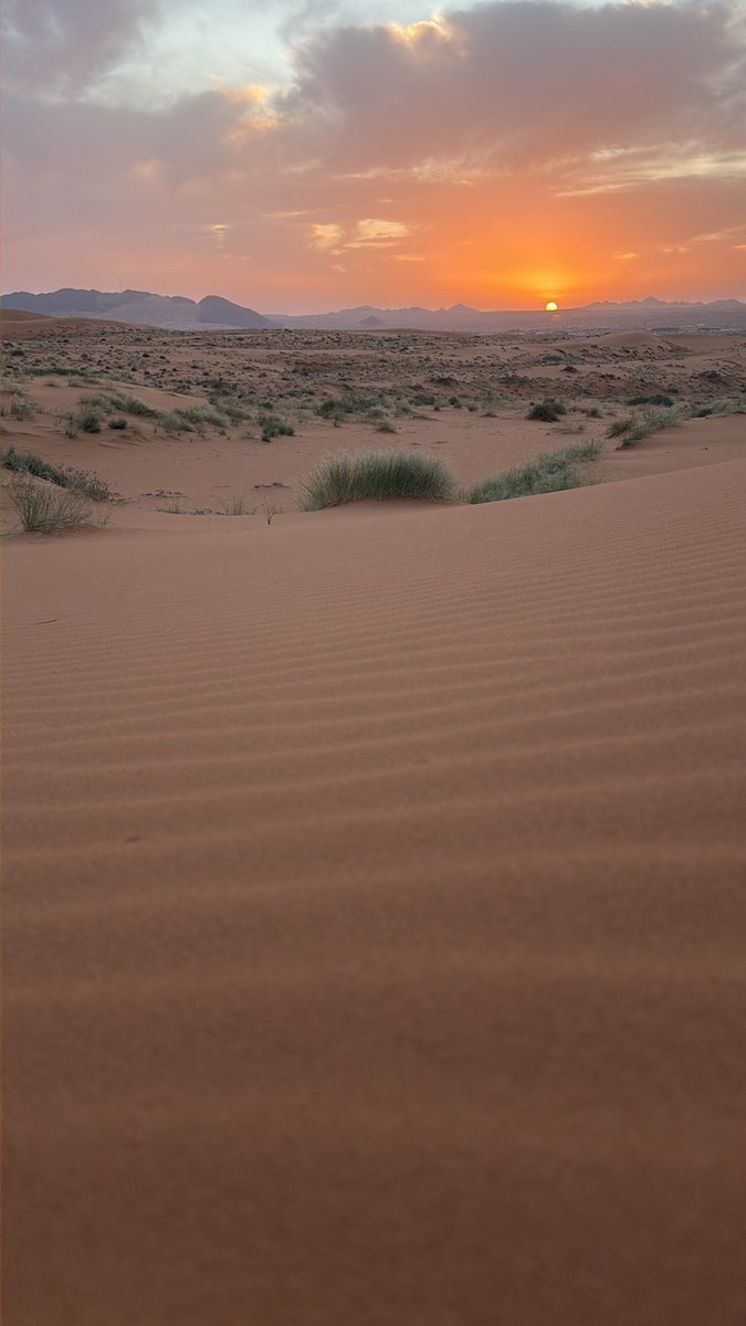 ENG ∫سليمان tweet media