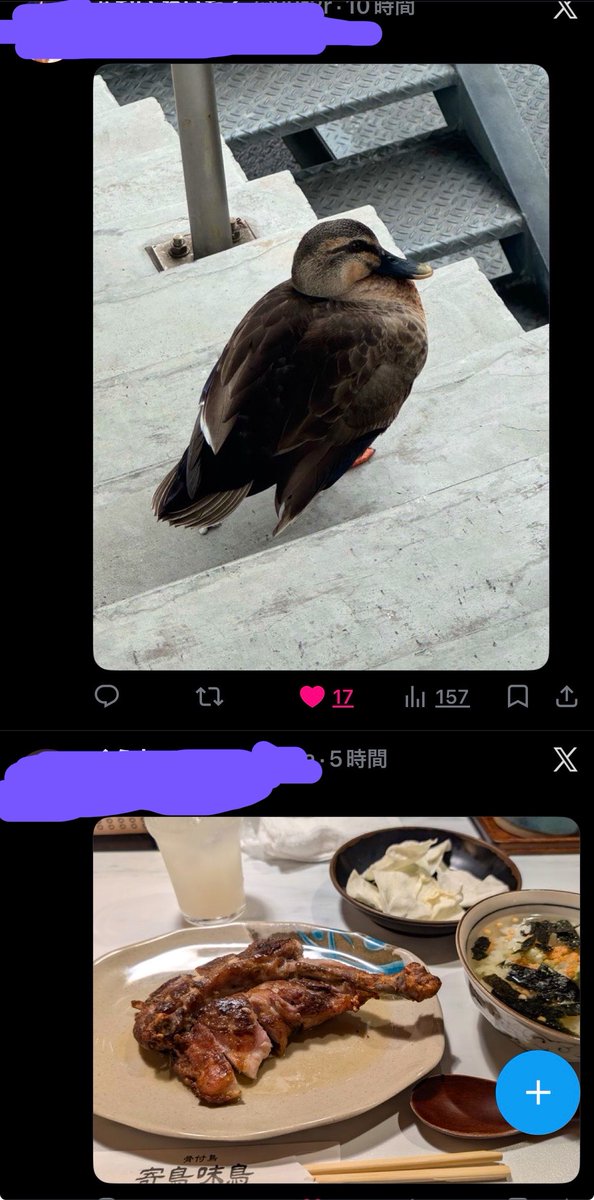 you tweet media