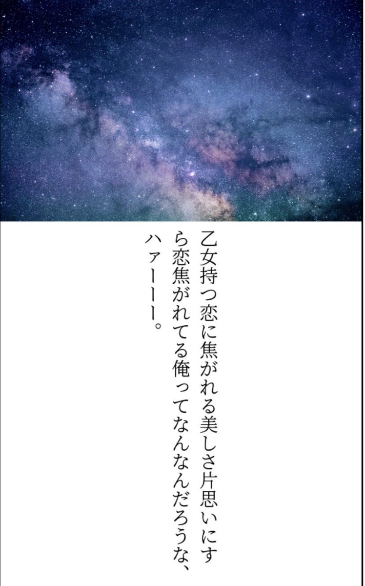シトラスの丘 tweet media