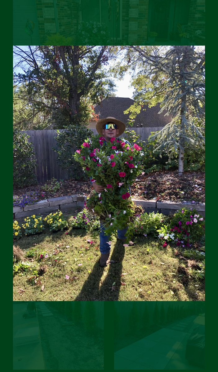 Aguilarbrothers's tweet image. For you ❤️ 💐 Threebrothers Aguilar

#tulsa #flowers #beautiful