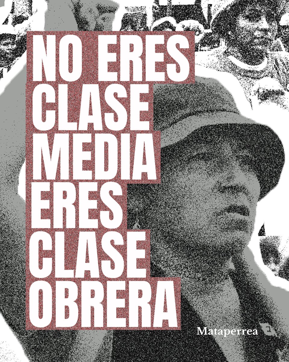 Mataperrea tweet media