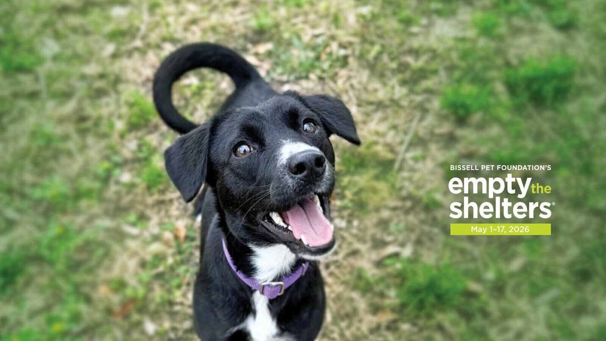cityofcc's tweet photo. Join us for Bissell's Empty the Shelter event, running from May 1 to 17, 2026! Thanks to Bissell, all adoption fees are completely waived at Corpus Christi Animal Care Services, 2626 Holly Road! Visiting and adoption hours are from 12:00 p.m. to 5:30 p.m. #CorpusChristi #EmptyTheShelters #CCpets #AdoptDontShop