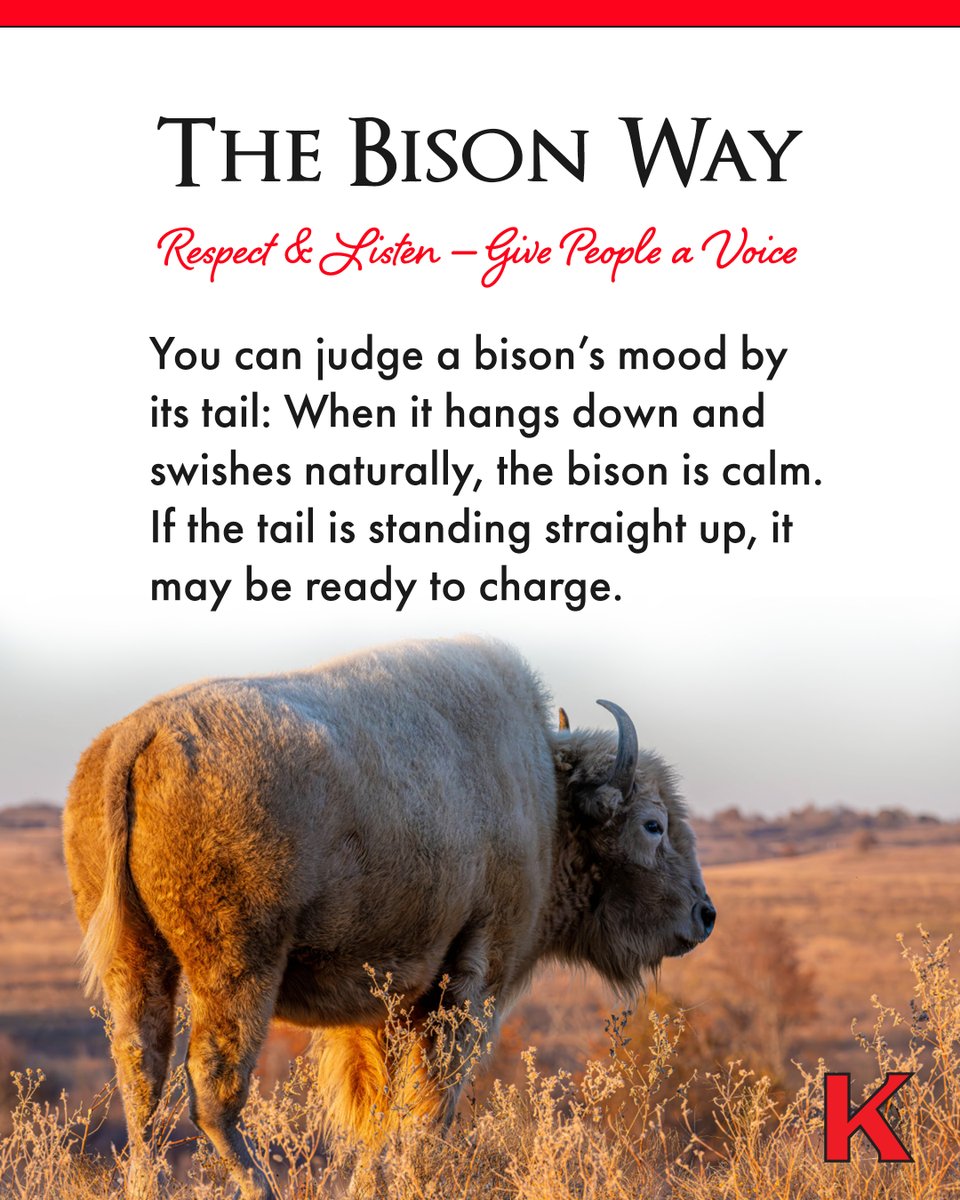 As we enter Mental Health Awareness month, it's important to prioritize the well being of our team—and ourselves.

Just like the bison's tail signifies its mood, your team may show telltale signs that they're struggling.

#MentalHealthAwarenessMonth