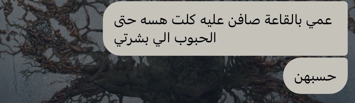 زَينب tweet media
