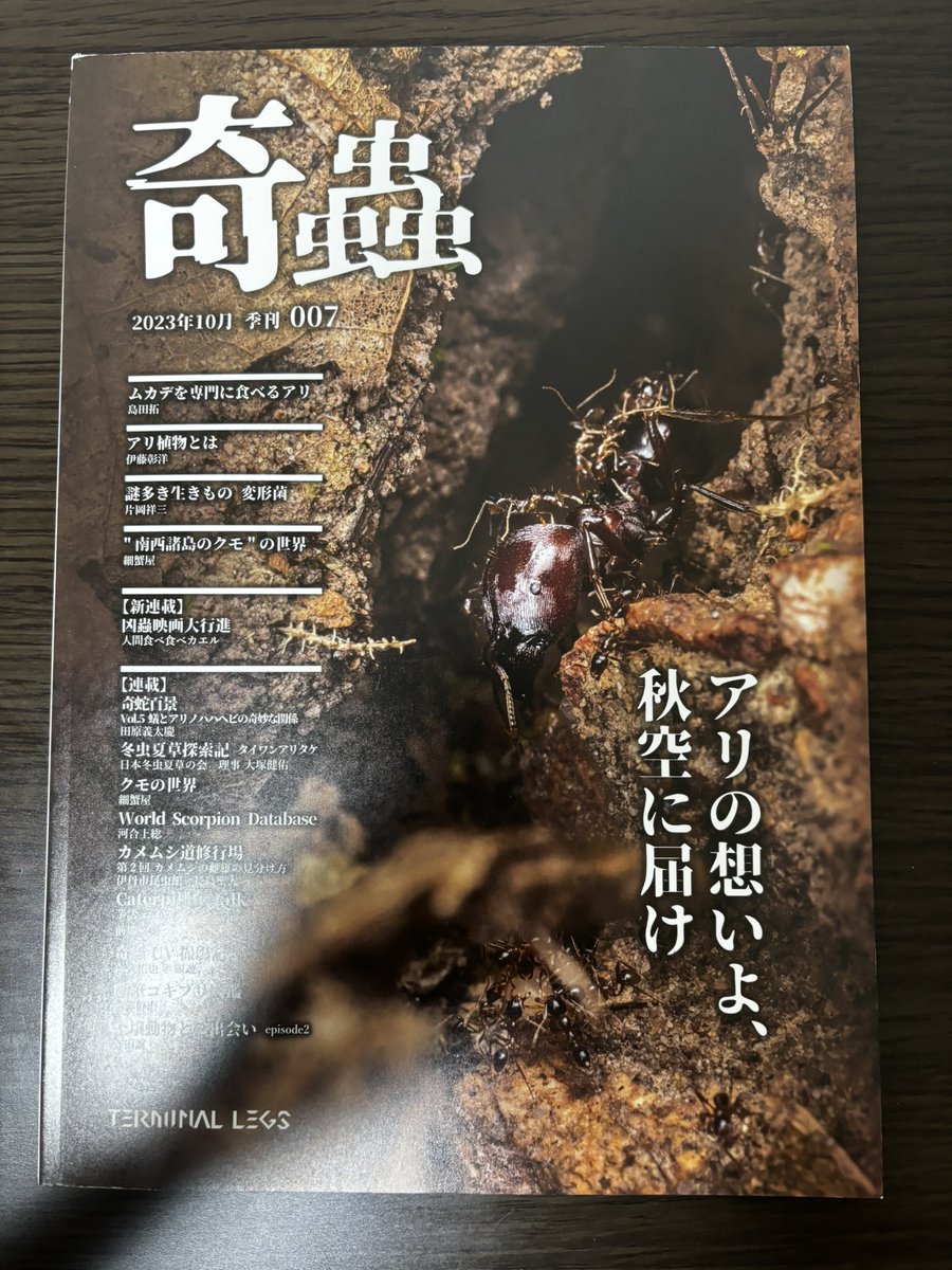 雑多 tweet media