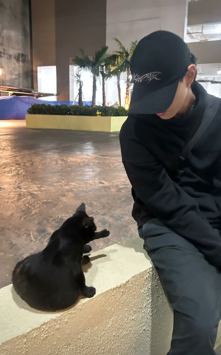 Kyot ng dalawang pusa 🐈‍⬛🐈‍⬛