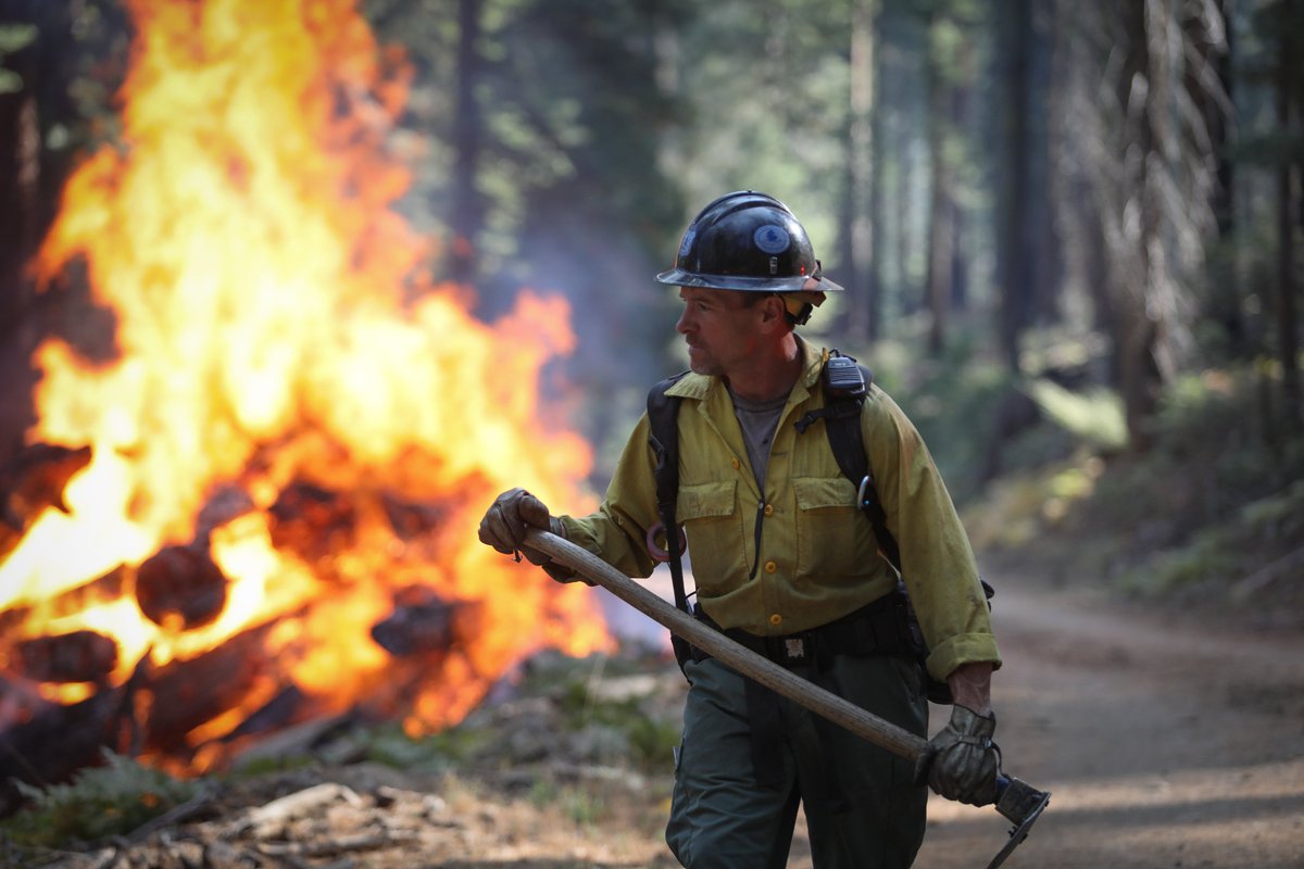 USDA Forest Service tweet media