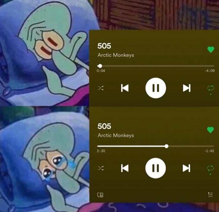 Echo tweet media