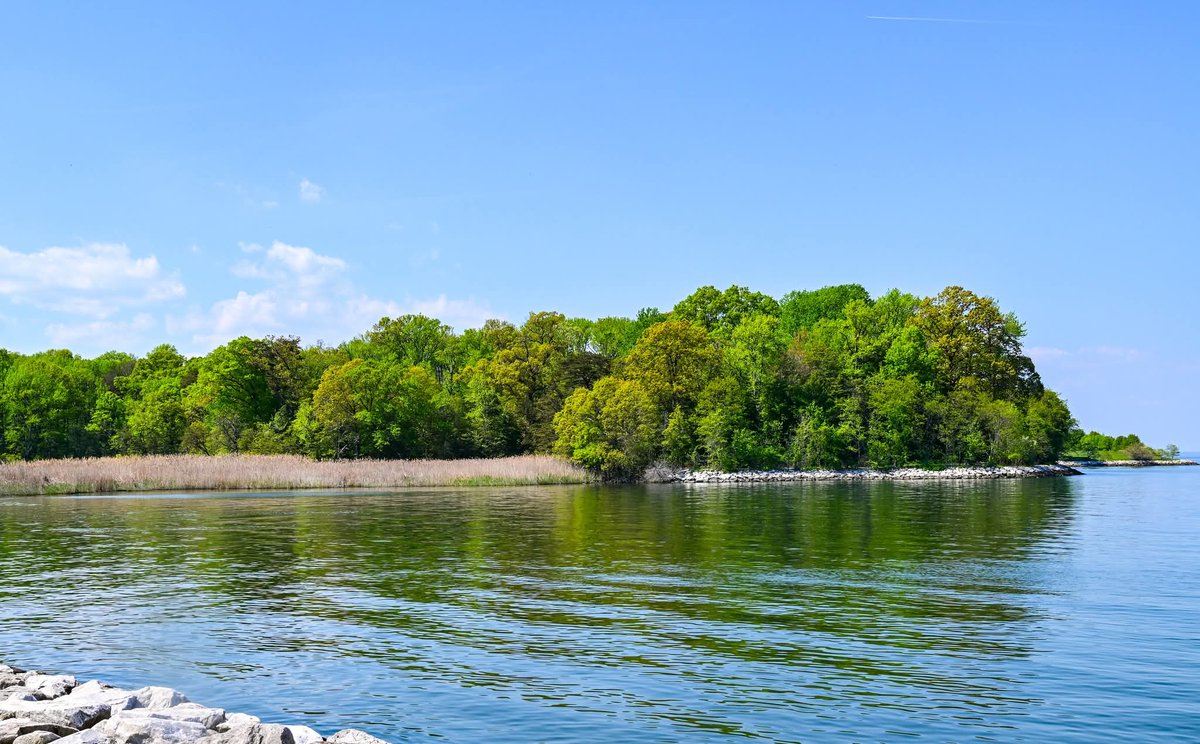 ByTheBayPhotos's tweet image. A spring day at Sandy Point State Park.

#SandyPoint #AnneArundel #Maryland #ChesapeakeBay