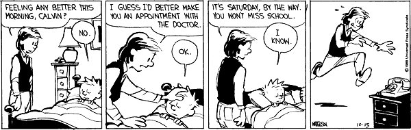 Calvin and Hobbes Daily tweet media