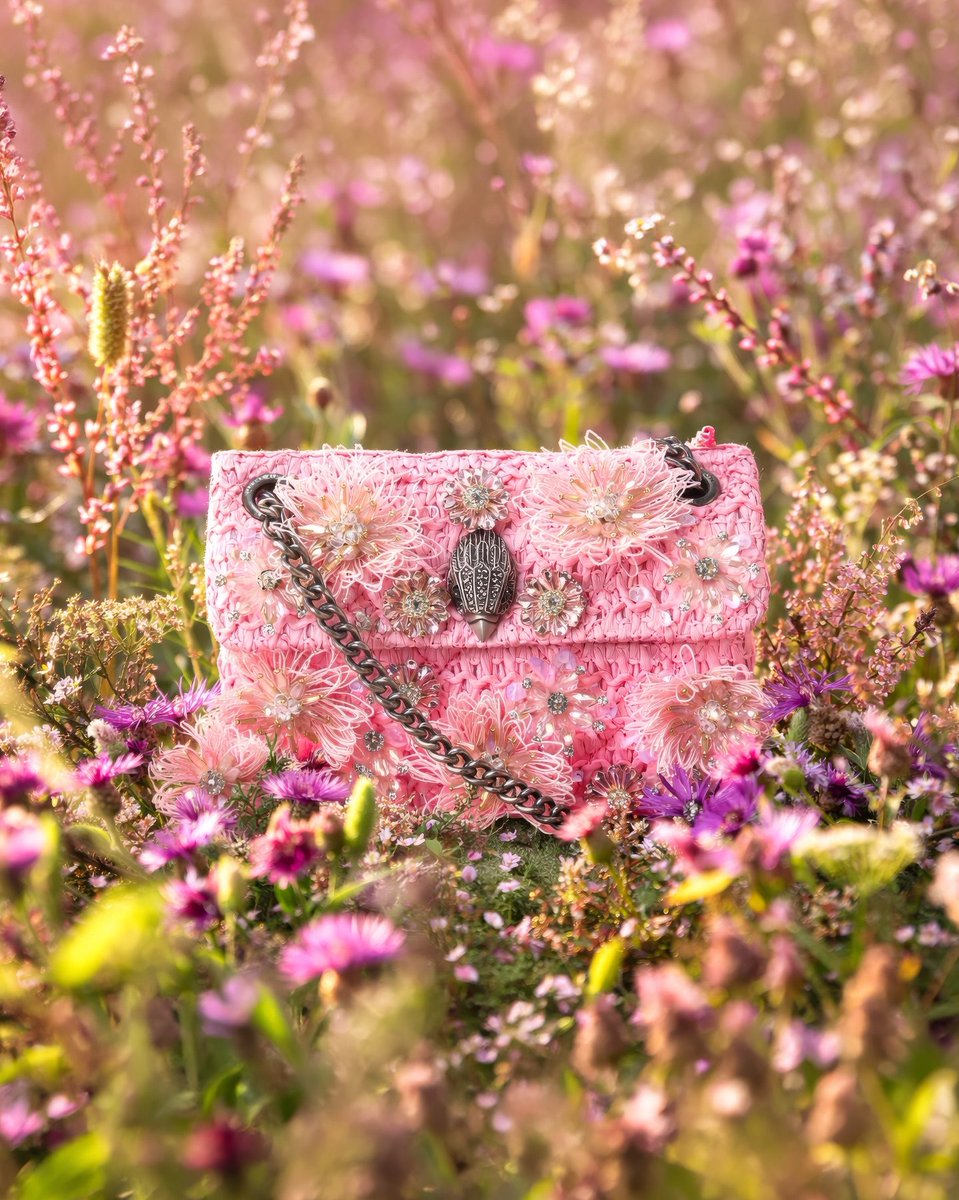 Kurt Geiger tweet media