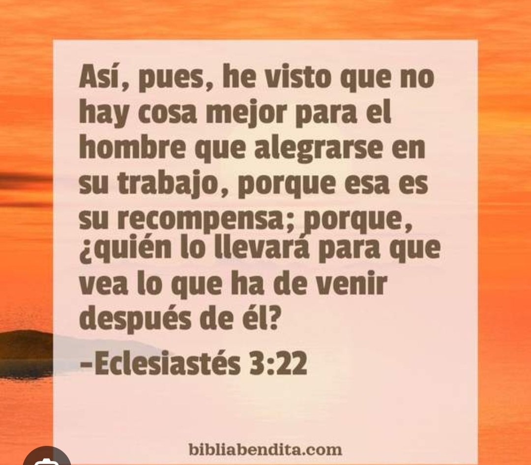 Leyla Perdomo tweet media