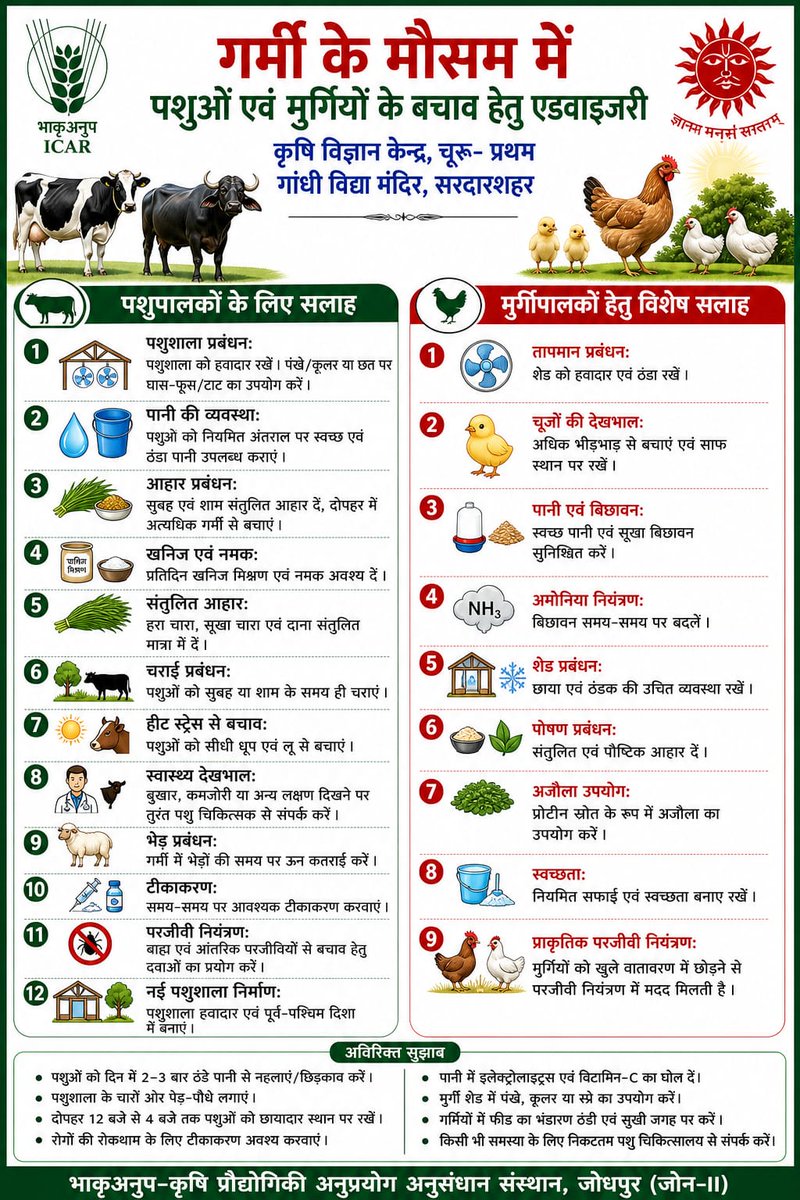 KVK_Churu1's tweet photo. Management of animals during excess heat duration #atarijodhpur @icarindia https://t.co/GXfsteoGVx