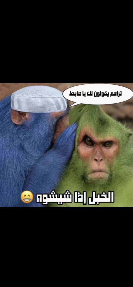 🇸🇦noor-18 tweet media