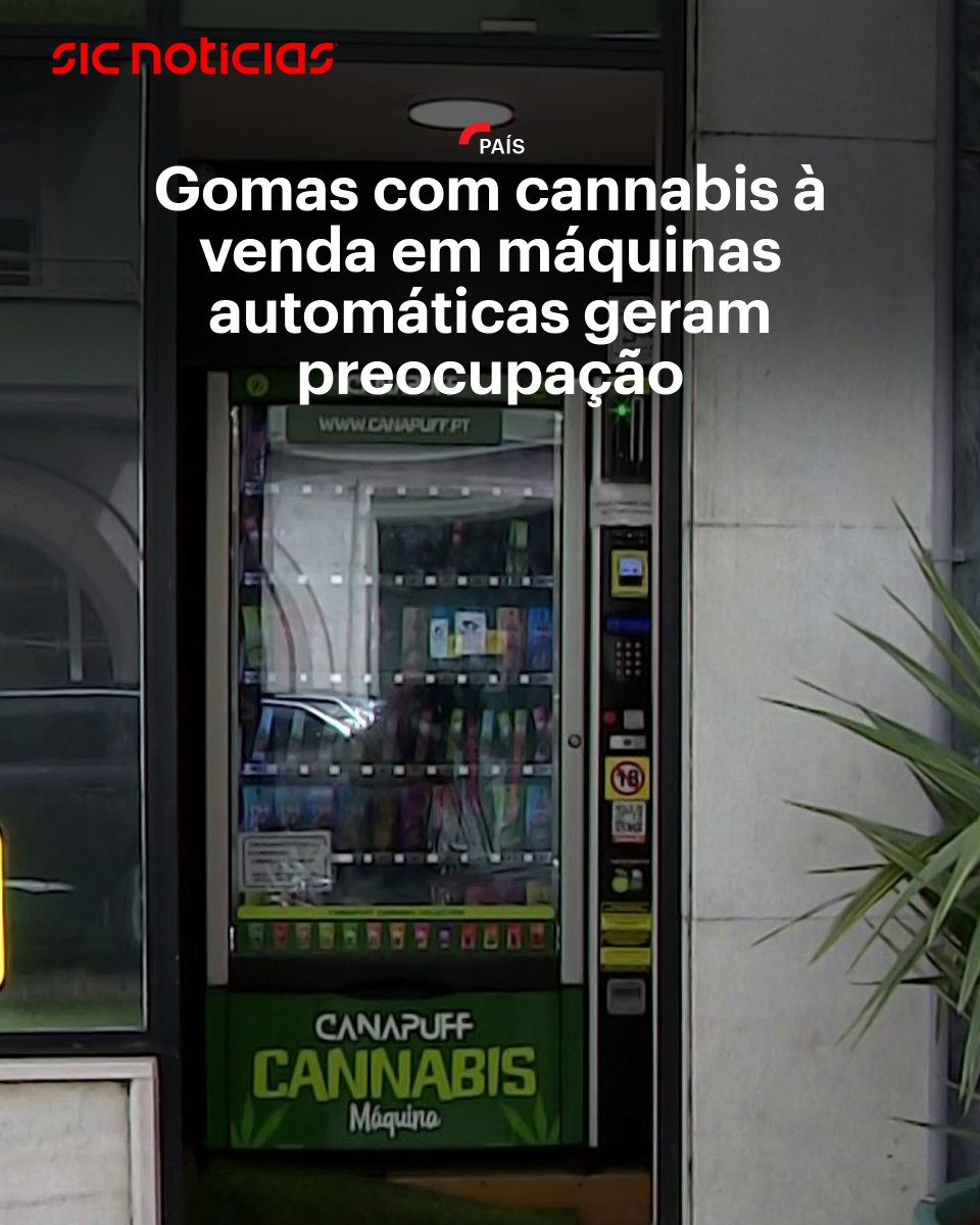 SIC Notícias tweet media
