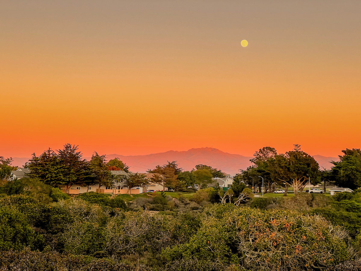 Cal State Monterey Bay tweet media