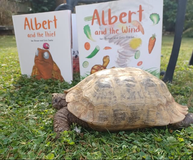 AlbertTortoise's tweet image. Getting up close to #books he #inspired. #ALBERTthetortoise taking a look at ALBERT picturebooks. #AvailableNow 9 #ALBERT #picturebooks, 3 #BoardBooks &amp;amp; #ActivityBook Alberttortoise.com
#tortoise #bookseries #storytime #illustrated #garden #thief #wind