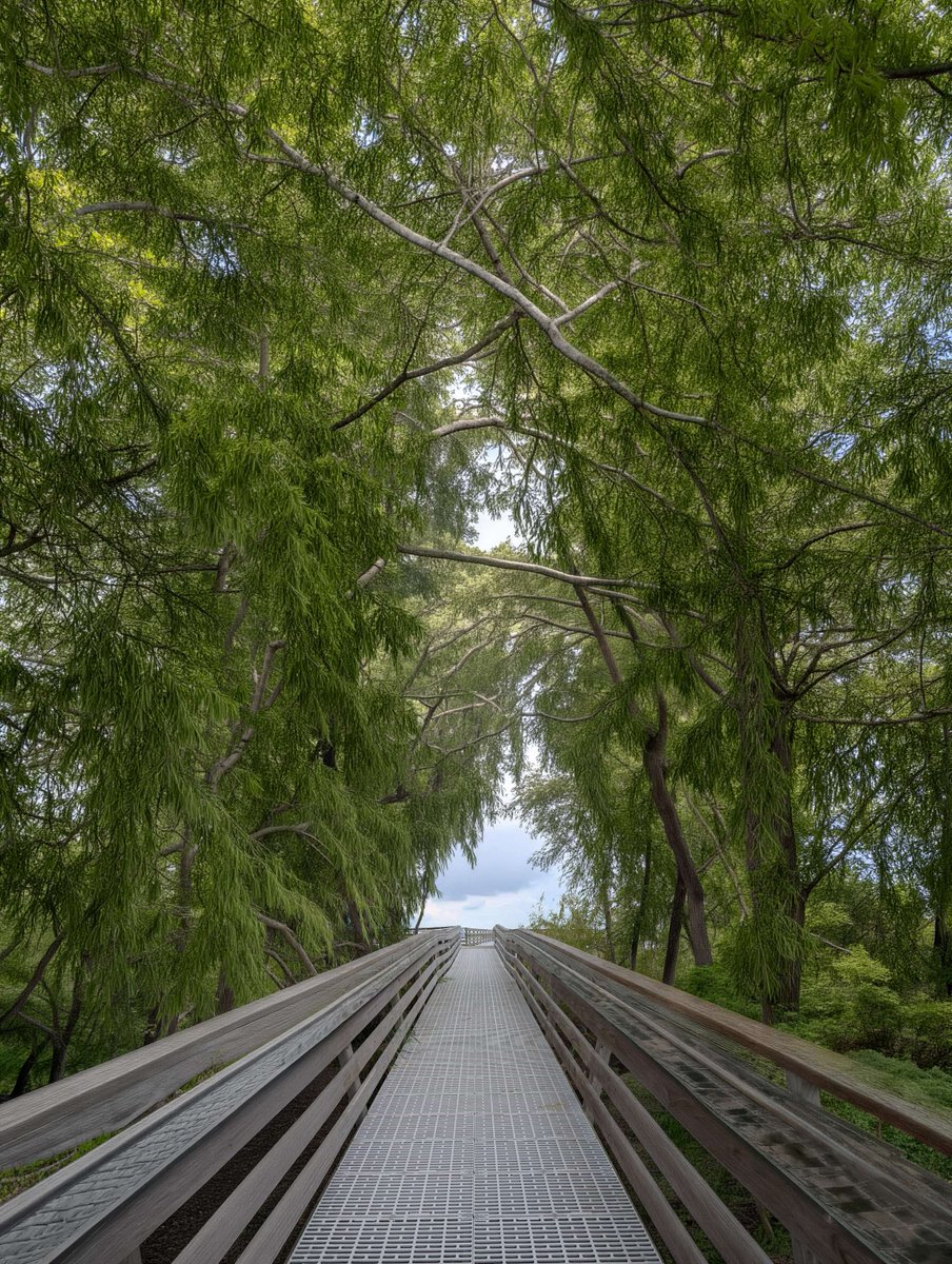 ThruFlow is a smart fit for boardwalks, walkways, and shoreline access paths that need to perform without overpowering the landscape. With durable, maintenance-free performance and a clean, timeless look, it helps create access that feels as natural as the setting itself.
