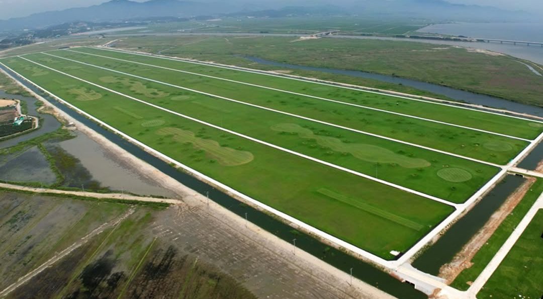 StripeFairwayGreen tweet media