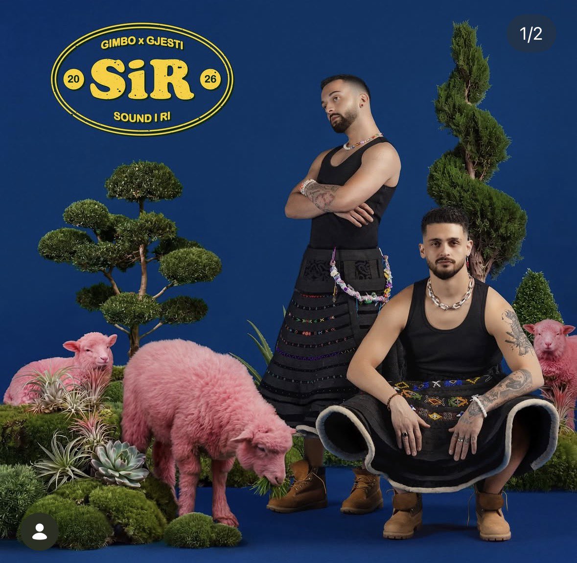 biancosedits's tweet photo. LMAOOOO look at gimbo #selimbo https://t.co/yTiirqGOGj