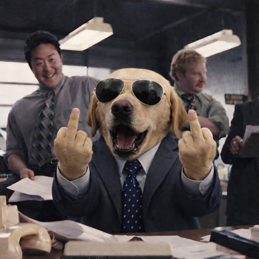 The Crypto Dog Meme Official tweet media