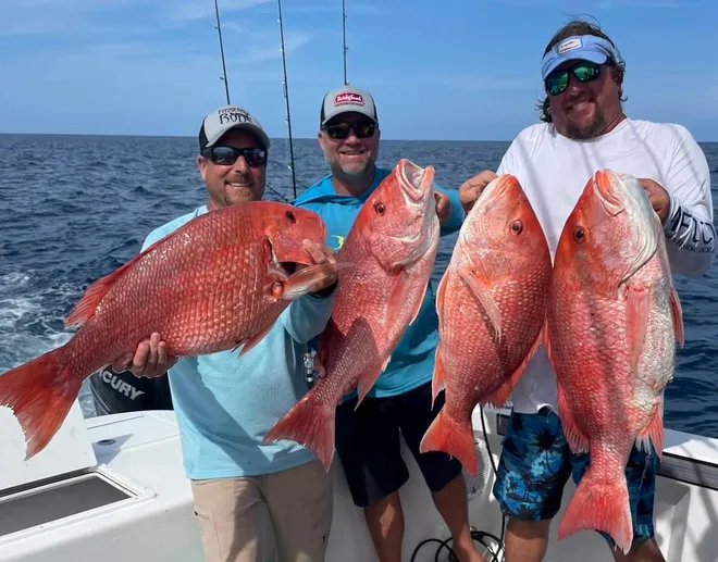 EricLDaugh's tweet photo. 🚨 NOW: President Trump confirms HUGE WIN by approving ALL STATE PERMITS for the 2026 Red Snapper season — REVERSING Biden policies of shutting down fishing activities

"WE JUST DELIVERED A HUGE WIN for our Great Fishermen and Anglers in FLORIDA, GEORGIA, SOUTH CAROLINA, and NORTH CAROLINA!"

"For years, our Great Fishermen have been punished with VERY short Federal fishing seasons despite RECORD HIGH fish populations and the States begging to oversee these permits."

"The incompetent Biden Administration tried to SHUT DOWN THE OCEANS to our Fishermen, entirely. We love and respect our Fishermen and, unlike the Democrats, will only do good for them. To all those who fish “Red Snapper” — TRUMP and NOAA are delivering for you. ENJOY!!"
