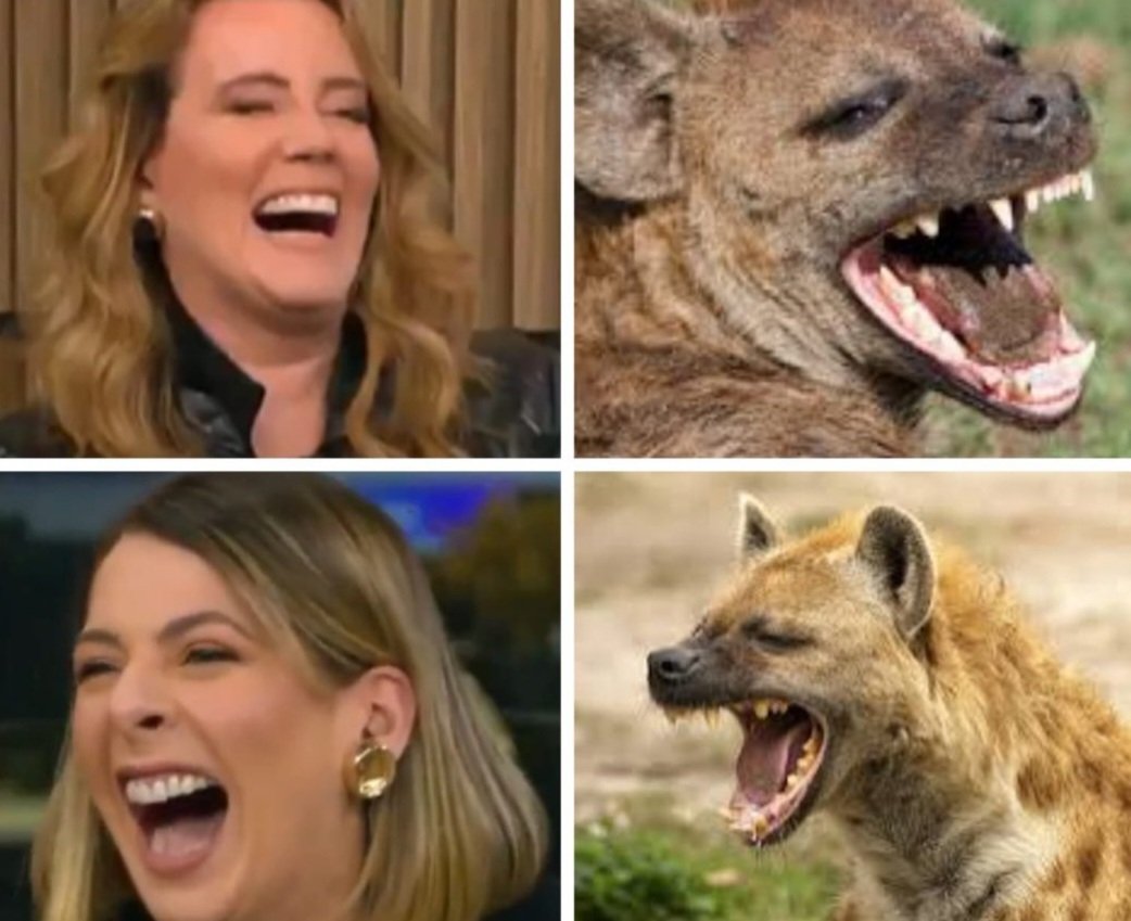 Daniela Bolsonaro 🇧🇷😎👊 tweet media