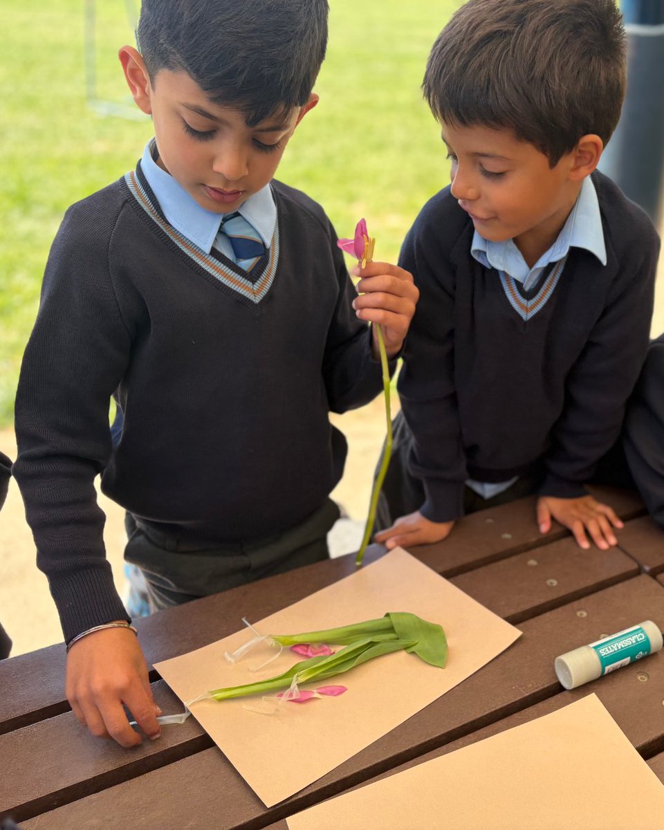 GayhurstSchool's tweet image. Year 1 children dissected plants and watched water travel through lilies with food dye in Outdoor Learning! 🌿🌷 #Year1 #OutdoorLearning #HandsOnLearning #ScienceInAction #PrimaryEducation #LearningOutside #CuriousMinds #STEM #PlantScience #Exploration #LearningThroughPlay