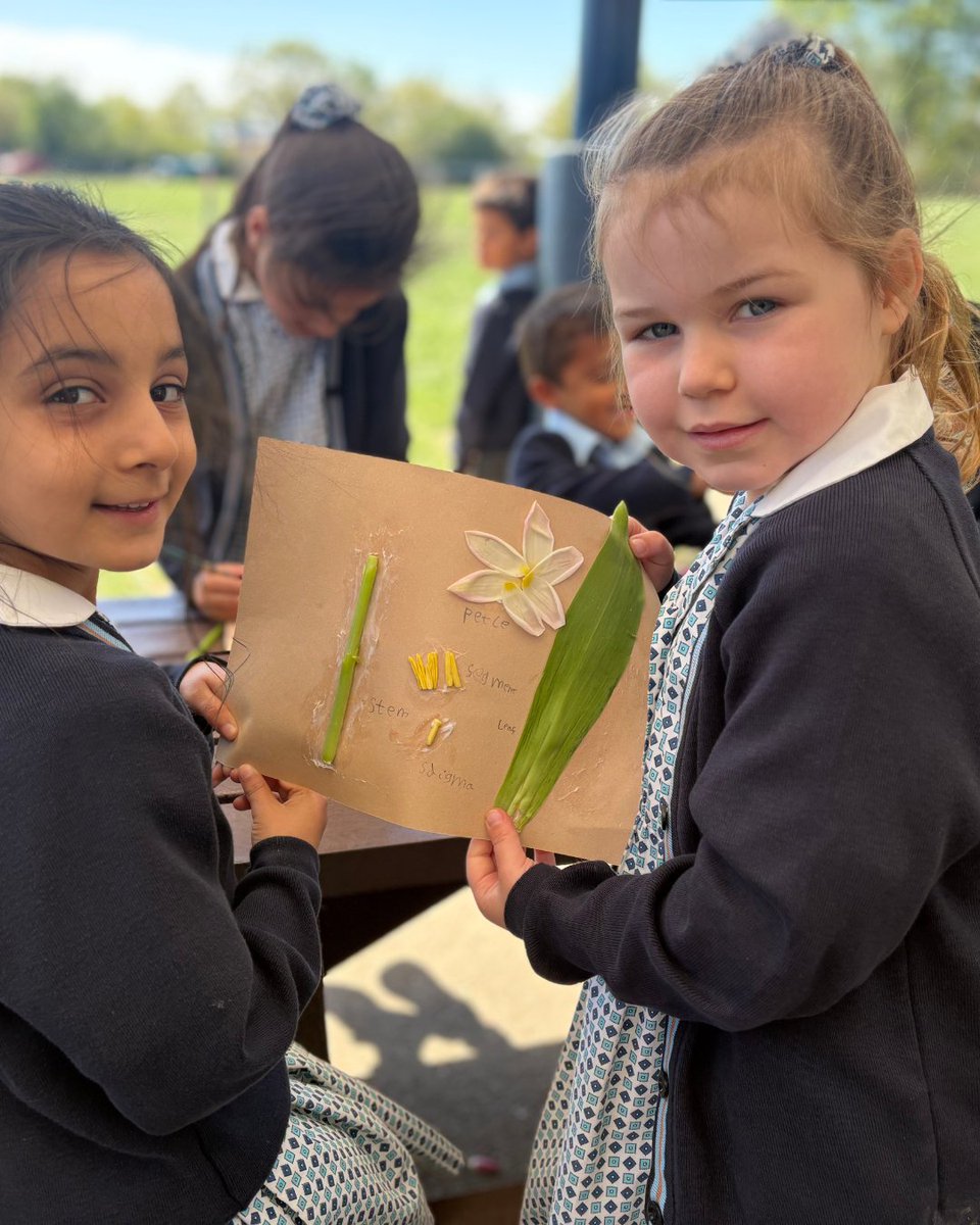 GayhurstSchool's tweet image. Year 1 children dissected plants and watched water travel through lilies with food dye in Outdoor Learning! 🌿🌷 #Year1 #OutdoorLearning #HandsOnLearning #ScienceInAction #PrimaryEducation #LearningOutside #CuriousMinds #STEM #PlantScience #Exploration #LearningThroughPlay