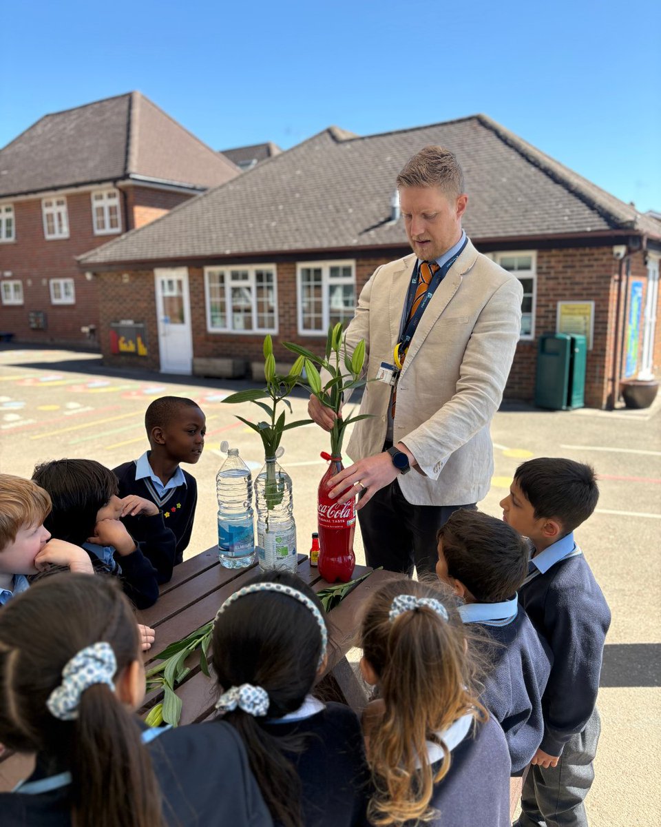GayhurstSchool's tweet image. Year 1 children dissected plants and watched water travel through lilies with food dye in Outdoor Learning! 🌿🌷 #Year1 #OutdoorLearning #HandsOnLearning #ScienceInAction #PrimaryEducation #LearningOutside #CuriousMinds #STEM #PlantScience #Exploration #LearningThroughPlay