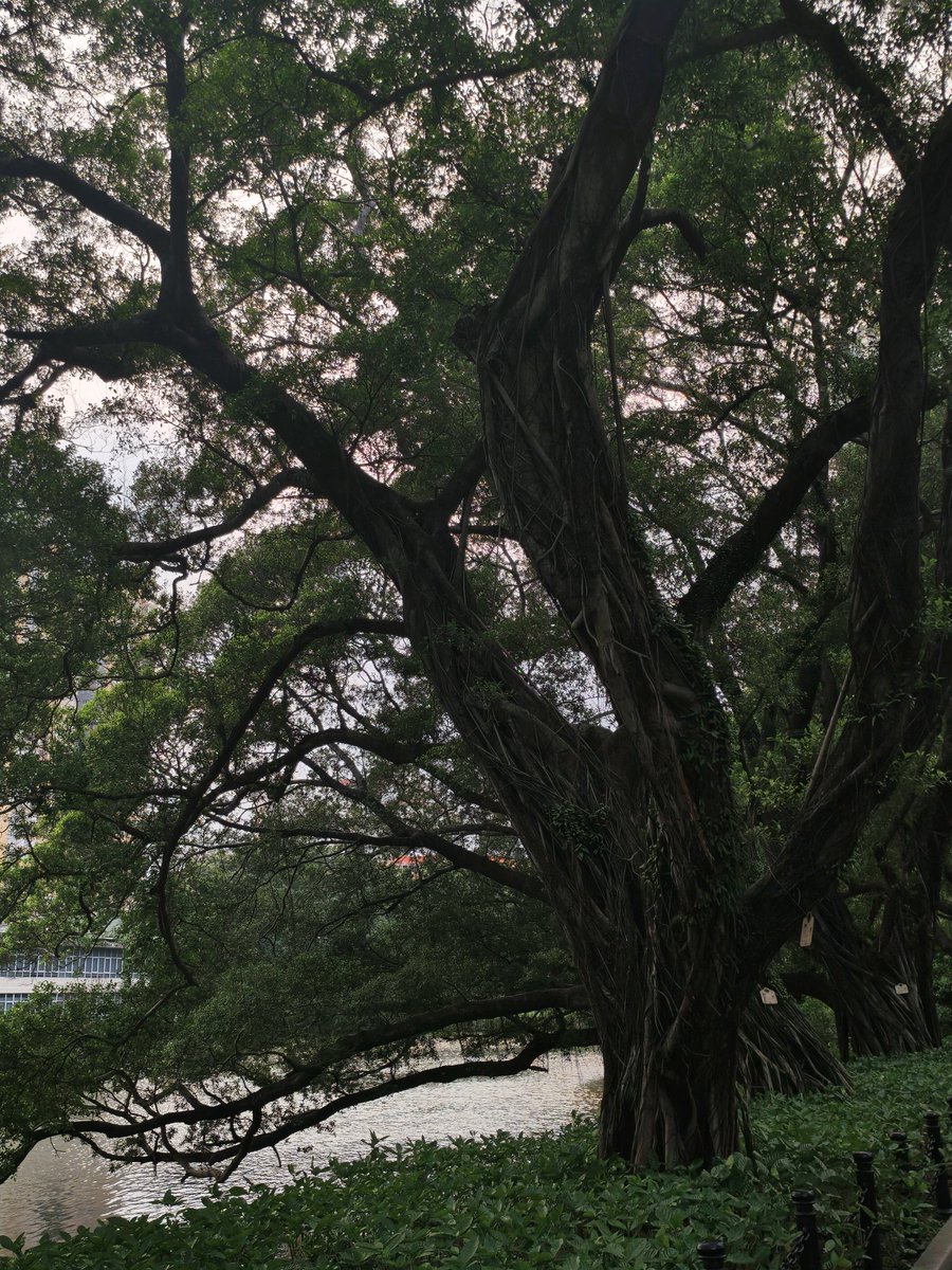 rowan_sk7's tweet photo. “人内在的深切和细腻，需要对等的人才能承当。”

承当  这个词尤其重。它不是被动的接受，是主动的、有力量地接住。不单是耐心，更是能力：能辨认出那些幽微的褶皱，能托住那些未成形就颤抖的话语，能在沉默里读出准确的重量。 https://t.co/U7hM2BpYiD