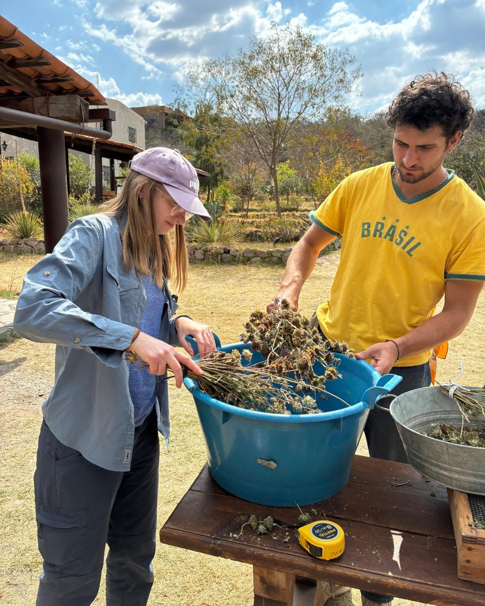 Peace Corps tweet media