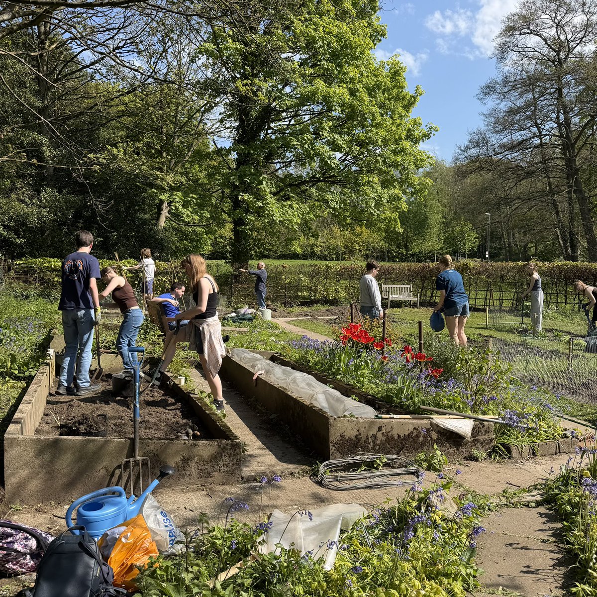 trevscollege's tweet image. Fantastic to welcome so many students, staff and SCR members to the @trevscollege allotment this afternoon! We planted lots of seedlings ranging from beans and peas to strawberries and sweetcorn - we look forward to further sessions soon! #TrevelyanCollege #explore #community