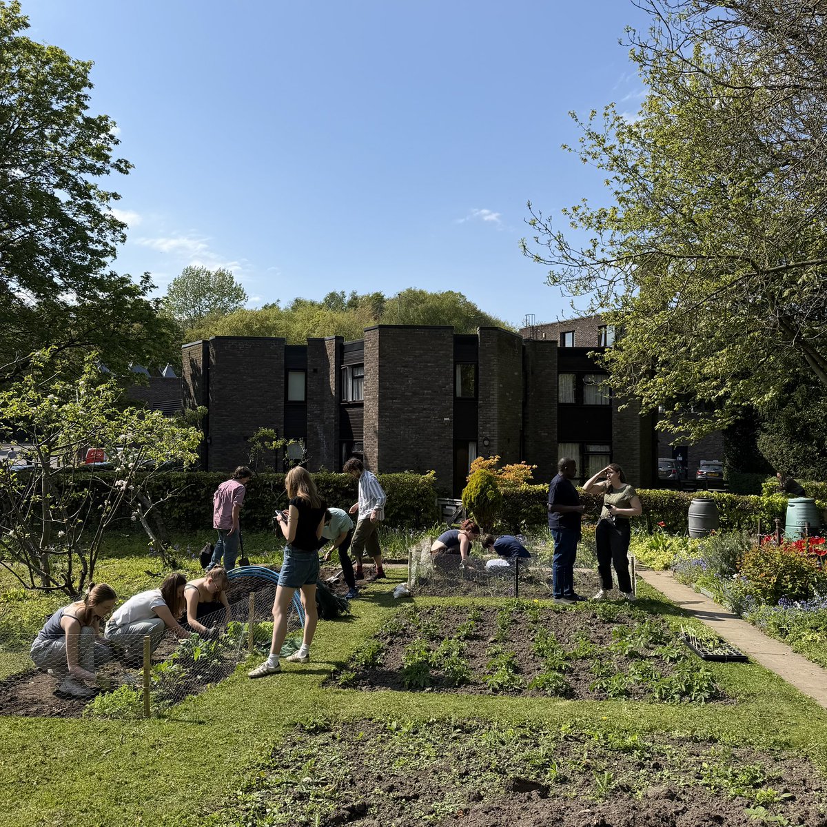 trevscollege's tweet image. Fantastic to welcome so many students, staff and SCR members to the @trevscollege allotment this afternoon! We planted lots of seedlings ranging from beans and peas to strawberries and sweetcorn - we look forward to further sessions soon! #TrevelyanCollege #explore #community