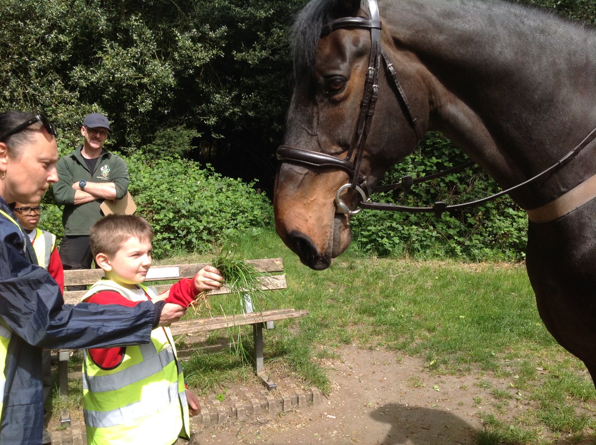 Roehampton Church Forest School tweet media