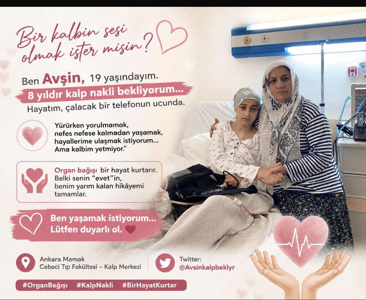 Avsinkalpbeklyr's tweet photo. Avşin’in bu zorlu Mücadelesinde sende sayfayı takip ederek 1 paylaşım yaparak destek olmak istermisiniz 🚨🙏🦋💜 https://t.co/uM6Mdnld7X