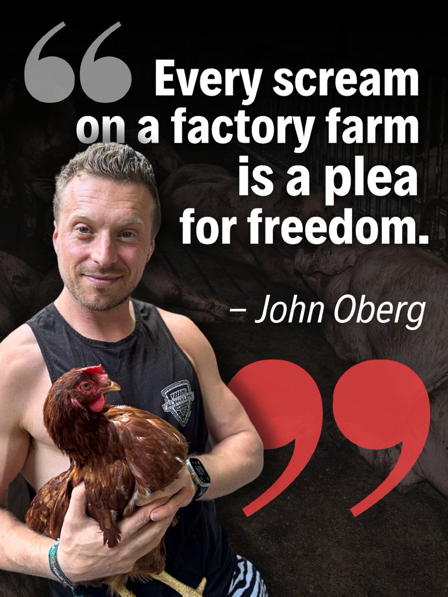 Vegan FTA tweet media