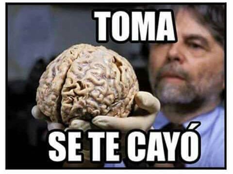 Fedecuervo tweet media