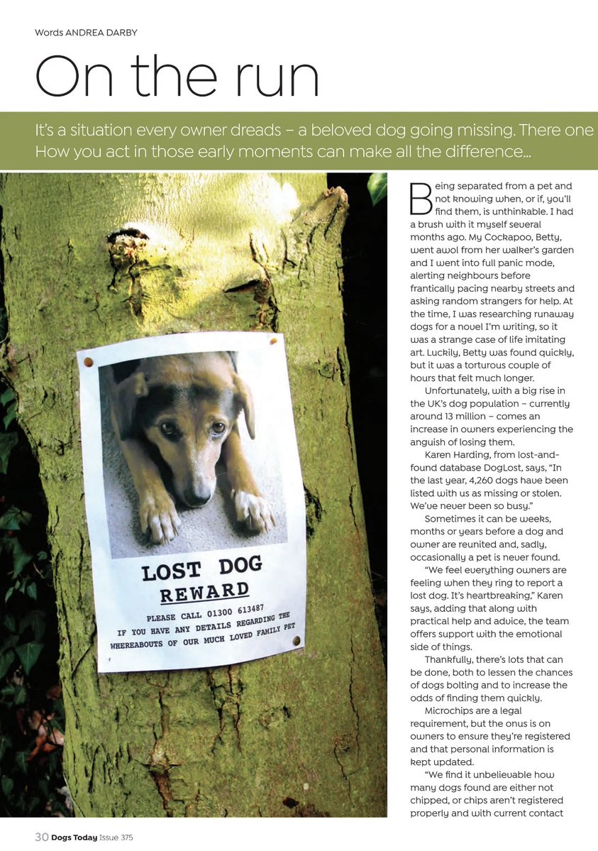 andreadarby27's tweet image. This was a painful write. Way too many dogs going missing. Please check the microchip details.
#DogsOnTwitter #dogs #rescuedogs #dogstoday #amwriting ⁦#doglove