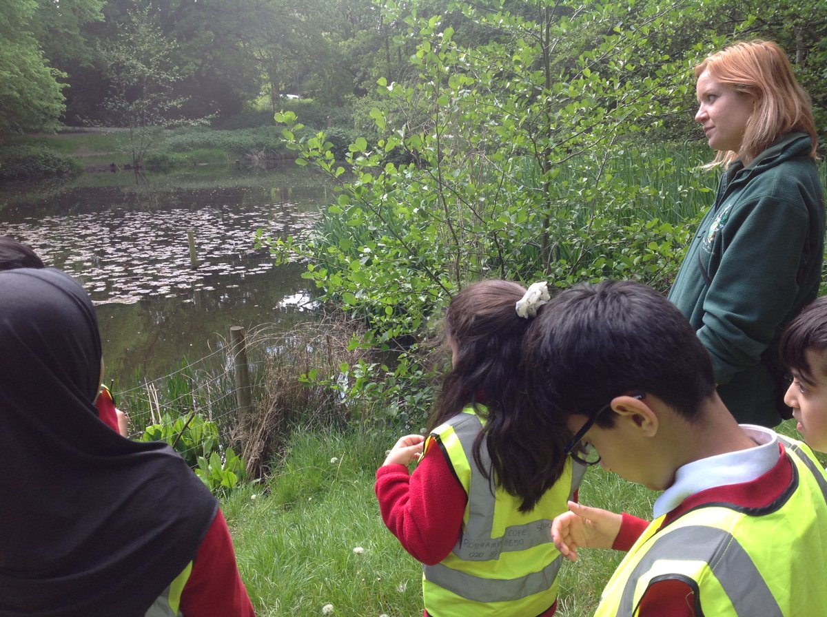 Roehampton Church Forest School tweet media