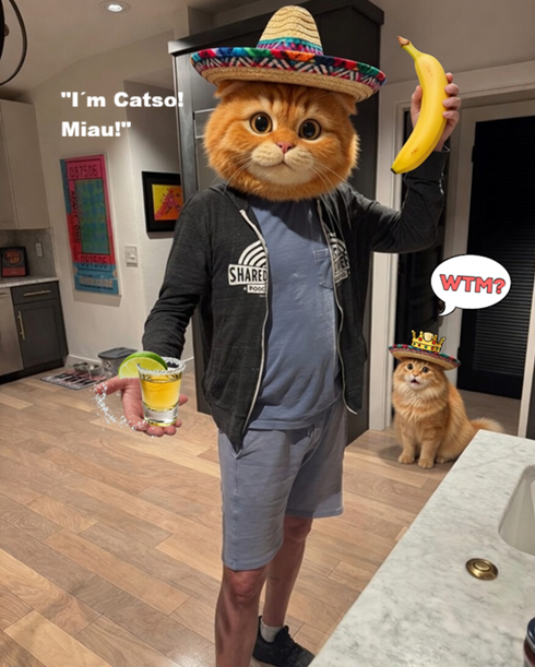 CatsoNemec's tweet photo. What the miau in the name of #Catso are you doing here, silly @imcorinnemec !??! #miau https://t.co/laqxhzQKHu