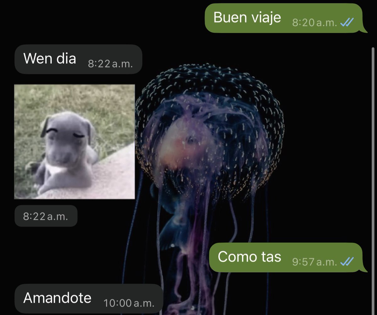 Mi mejor amigo me trata así, no puedo esperar menos de nadie ajaja
