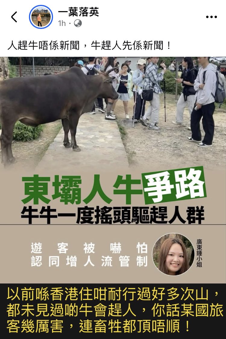 牛趕蝗