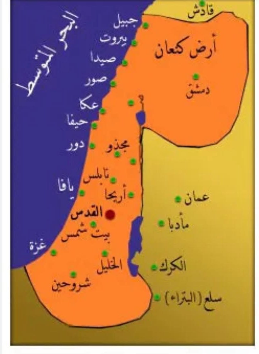 mahmoud saud 🇵🇸 tweet media
