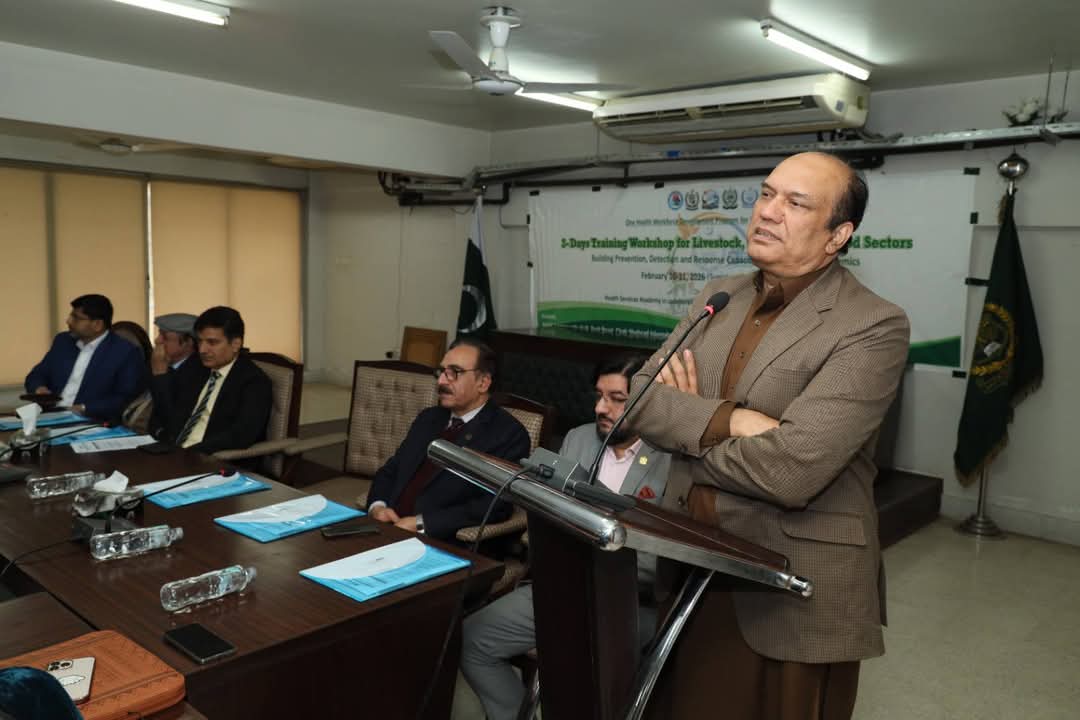 ONE HEALTH PAKISTAN tweet media